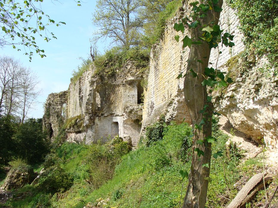 Château de Guainville : Vue générale des ruines