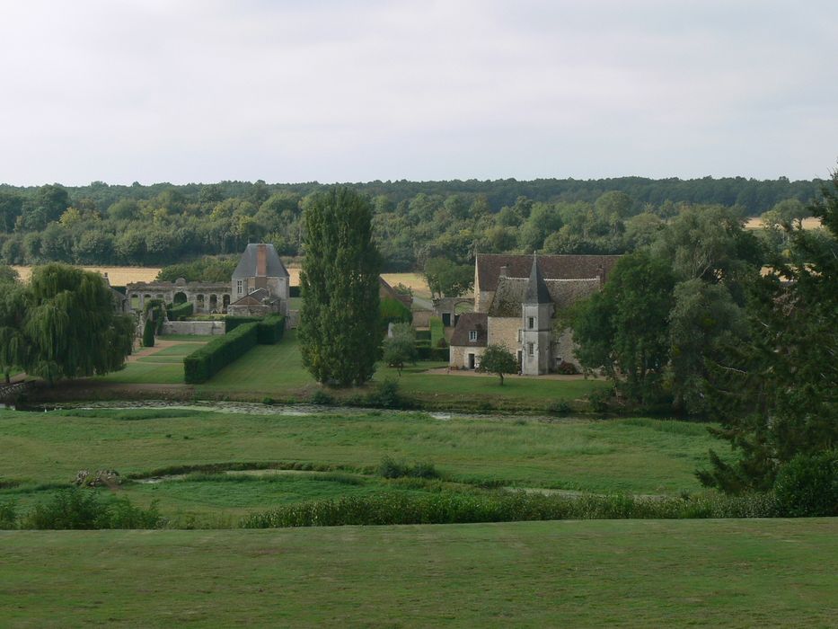 Restes de l'ancien château de Mémillon : Vue générale des vestiges dans leur environnement