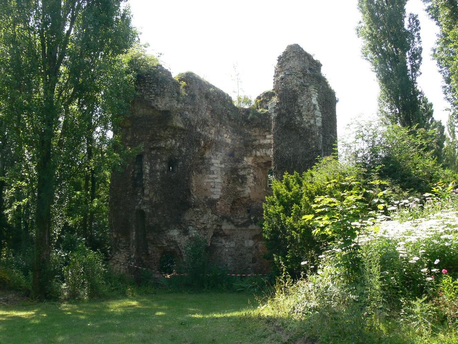 Restes de l'ancien château : Vue partielle des ruines