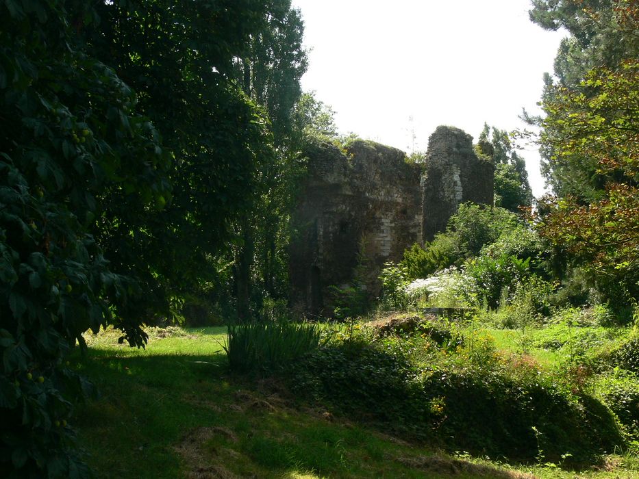 Restes de l'ancien château : Vue partielle des ruines