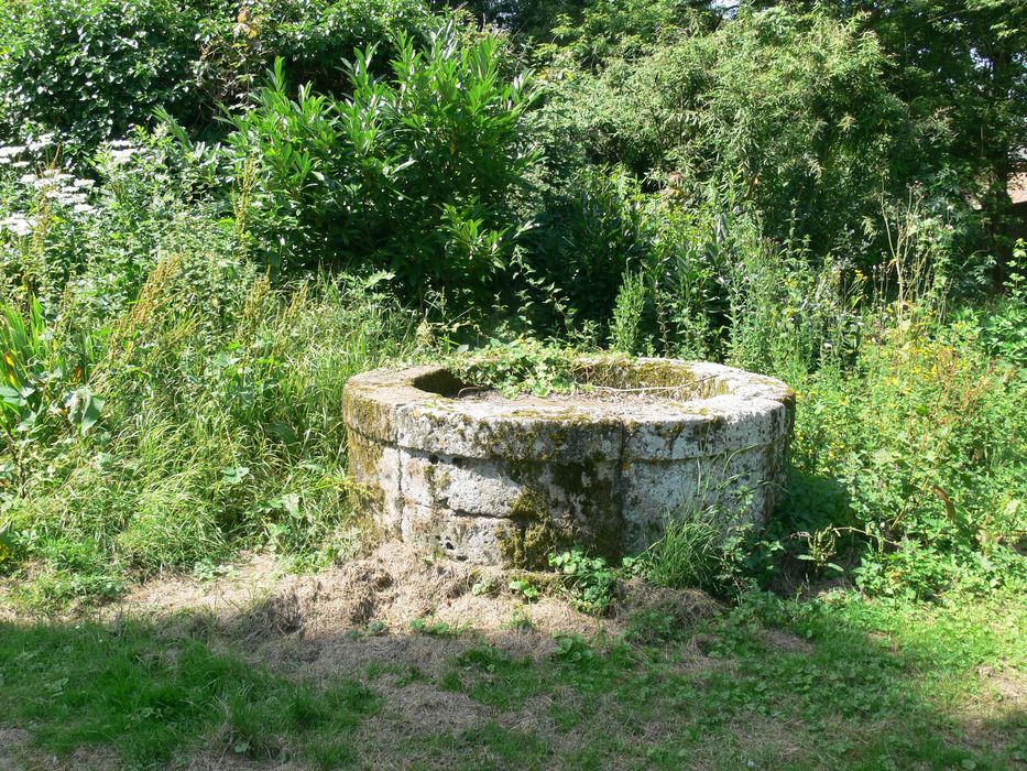 Restes de l'ancien château : Puits, vue générale