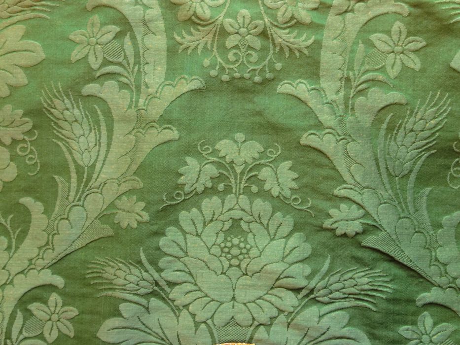 Voile de calice : vue de détail