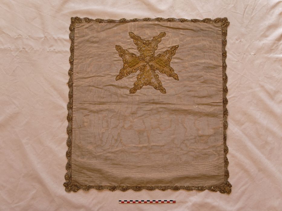 Voile de calice : vue générale