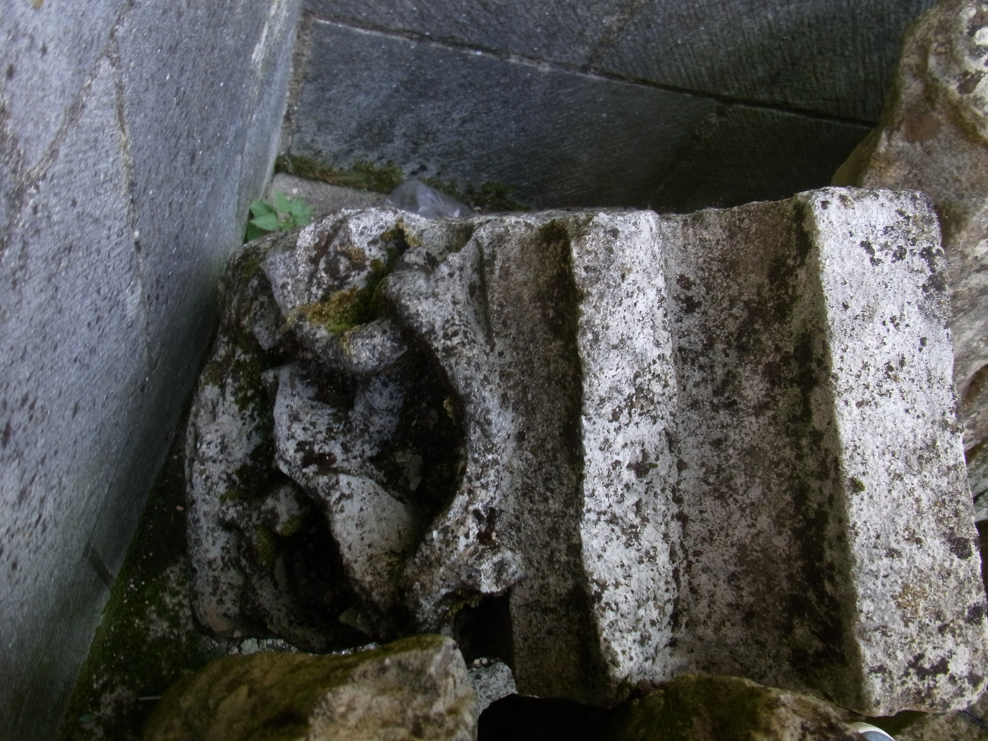 Bloc sculpté d'un motif de bois épineux