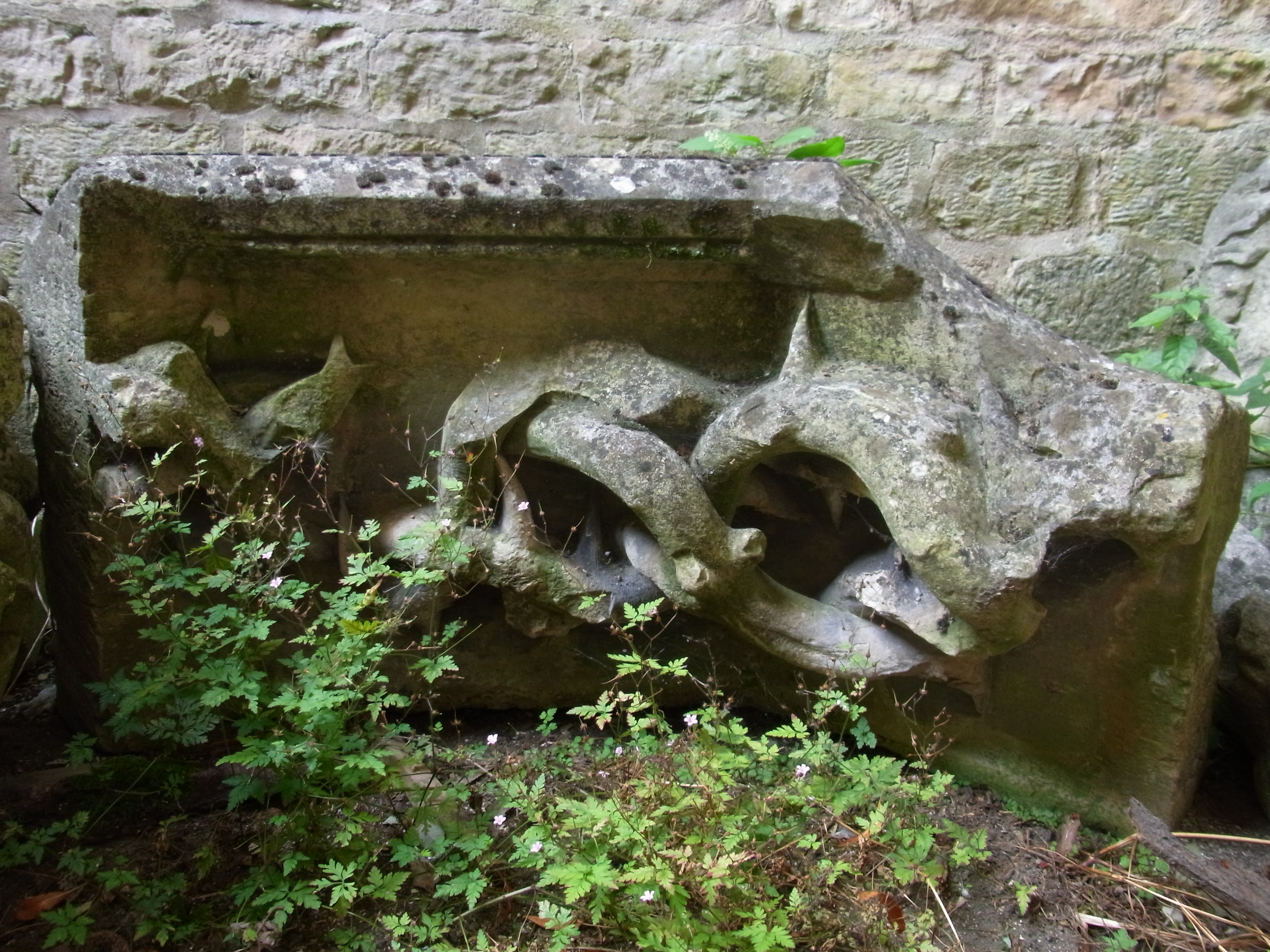 Fragment d'une frise décorative à motif de bois épineux