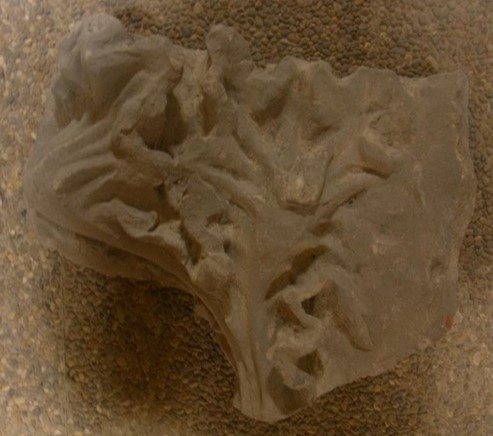 Fragment d'un crochet