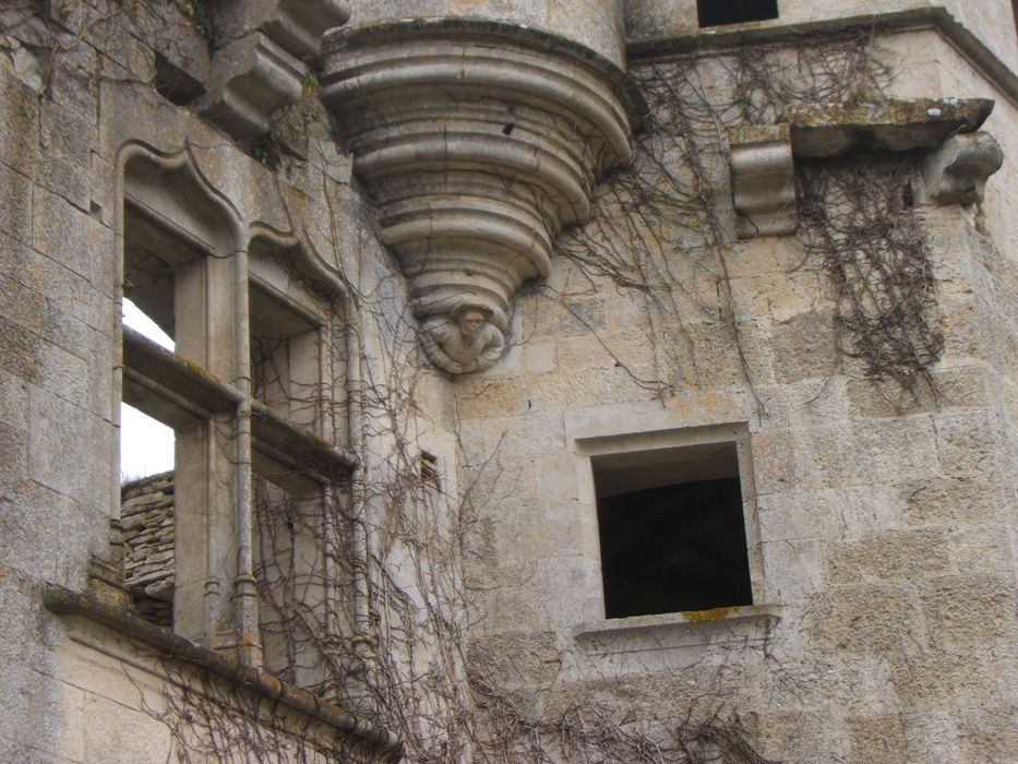 Château de Rochefort (vestiges) : Détail des maçonneries