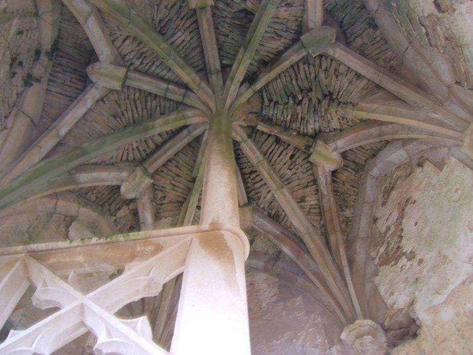 Château de Rochefort (vestiges) : Voûte de la tour d'escalier,vue générale