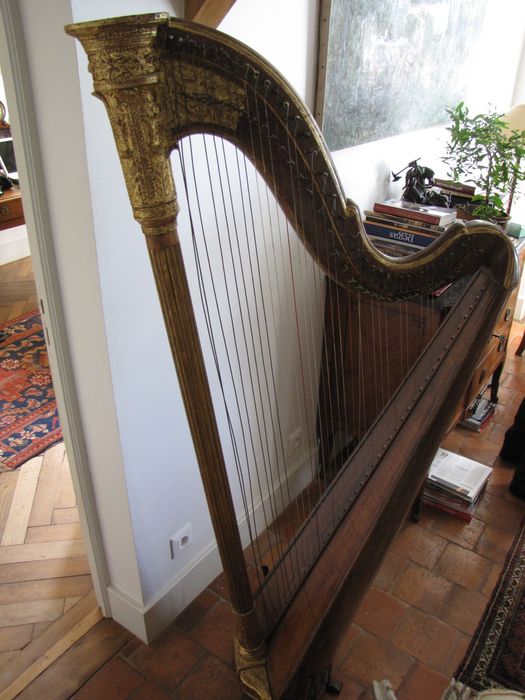 harpe - © Ministère de la Culture (France), Direction régionale des affaires culturelles de Bourgogne-Franche-Comté, tous droits réservés
