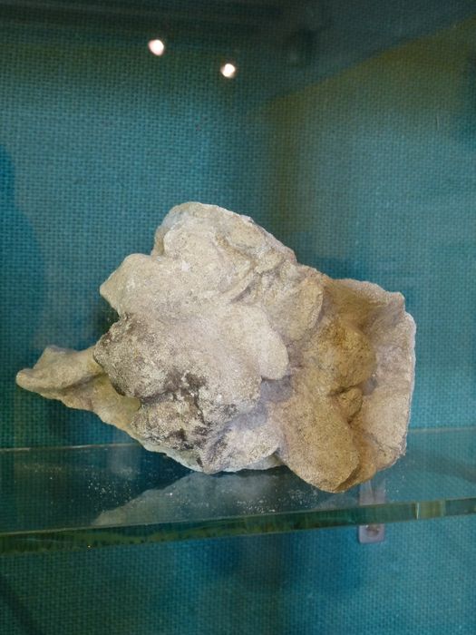 élément lapidaire n°7