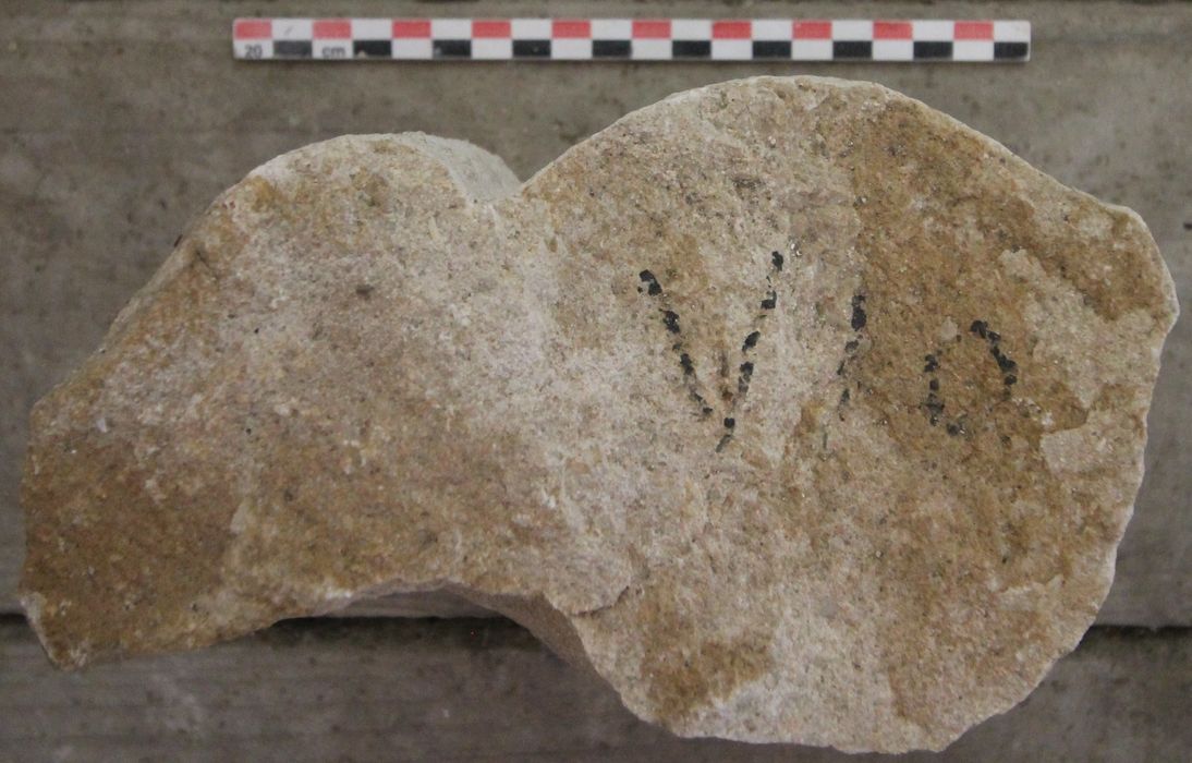 claveau d'ogive (fragment)