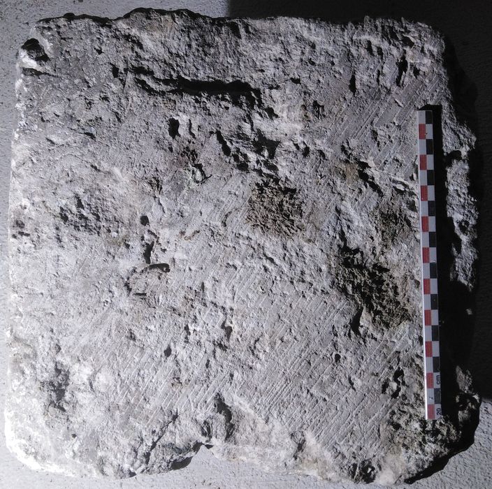 chapiteau (fragment)