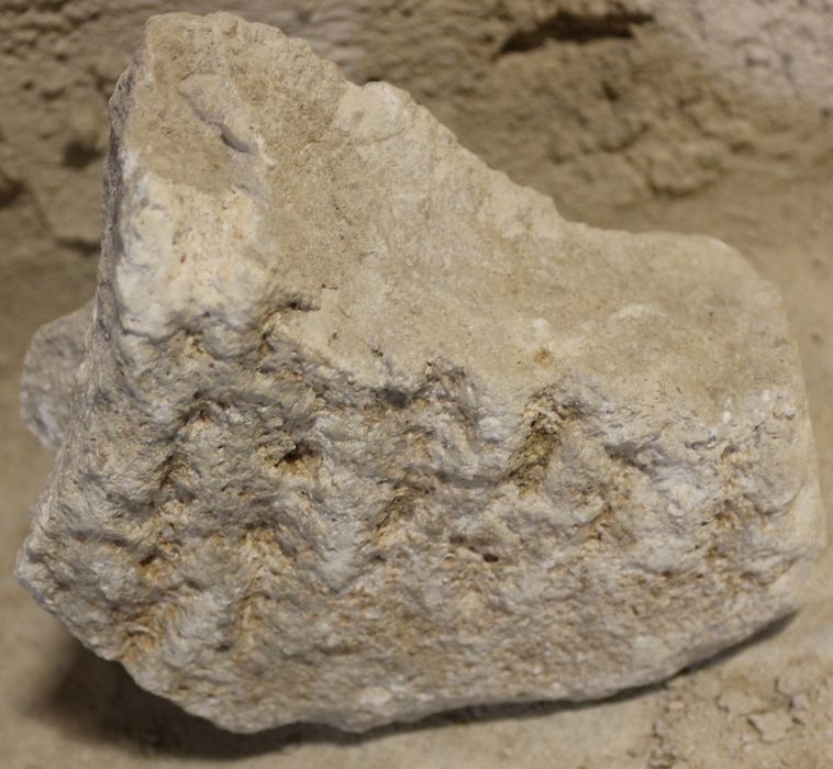 Fragment d'une cuve de sarcophage