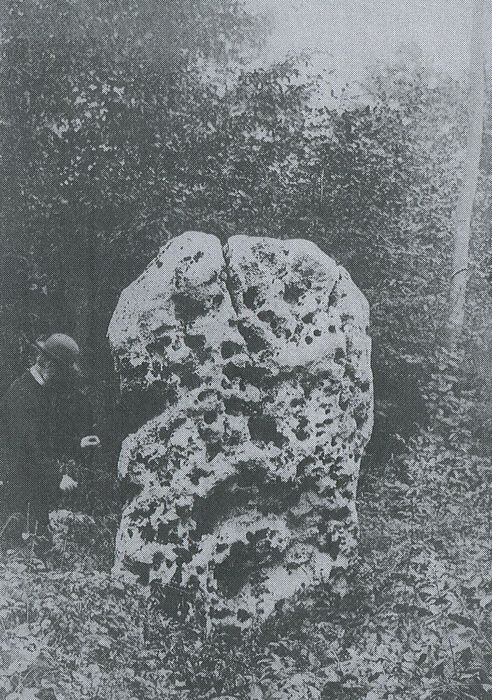 vue générale du menhir