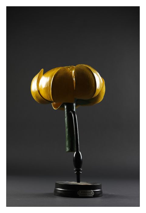 modèle de fleur articulé Brendel : nénuphar jaune - © Ministère de la Culture (France), Direction Régionale des Affaires Culturelles de Bourgogne-Franche-Comté – Tous droits réservés 