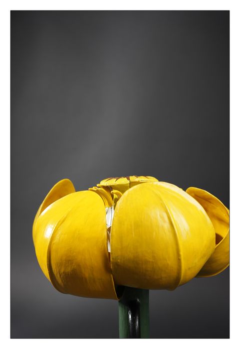 modèle de fleur articulé Brendel : nénuphar jaune