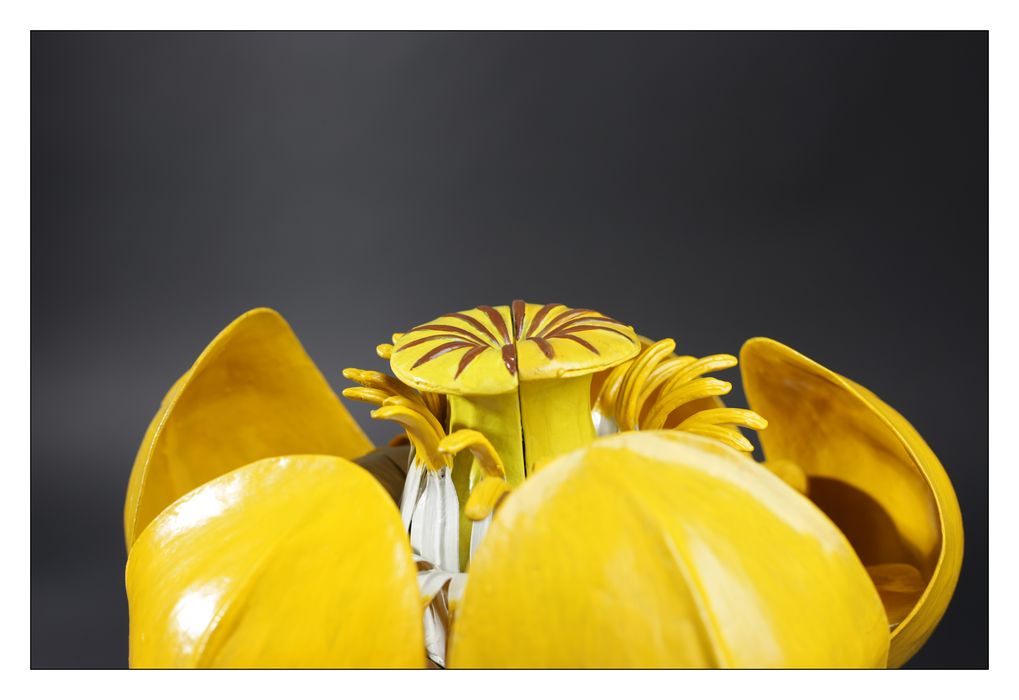 modèle de fleur articulé Brendel : nénuphar jaune