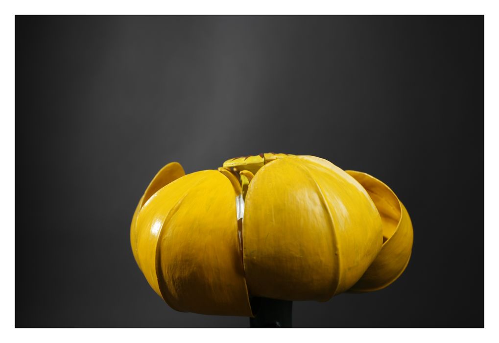 modèle de fleur articulé Brendel : nénuphar jaune