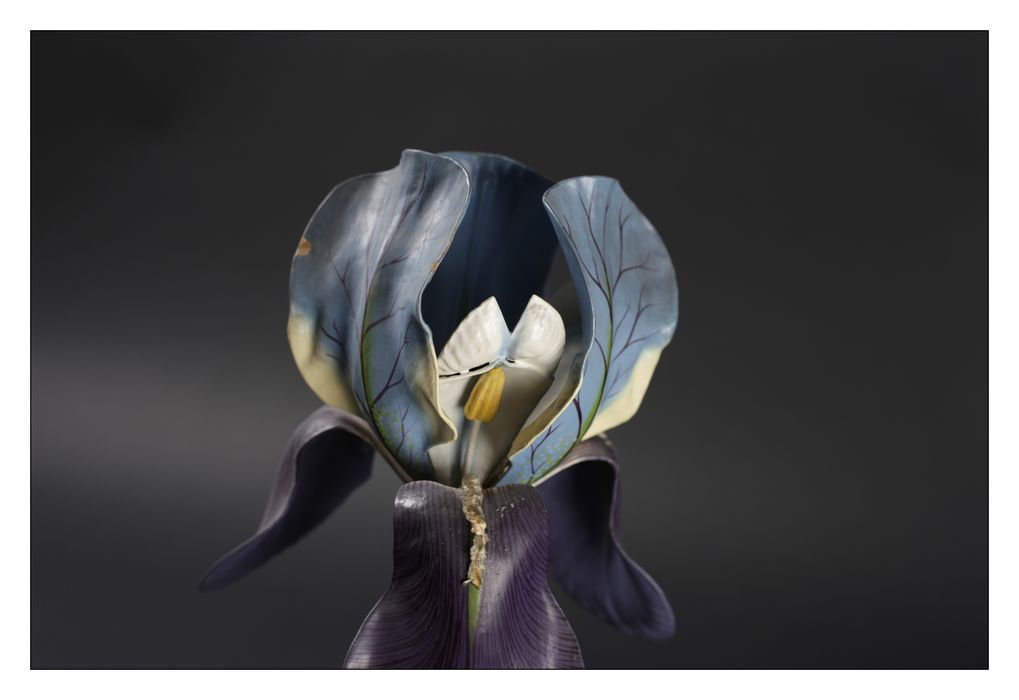 modèle de fleur articulé Brendel : iris