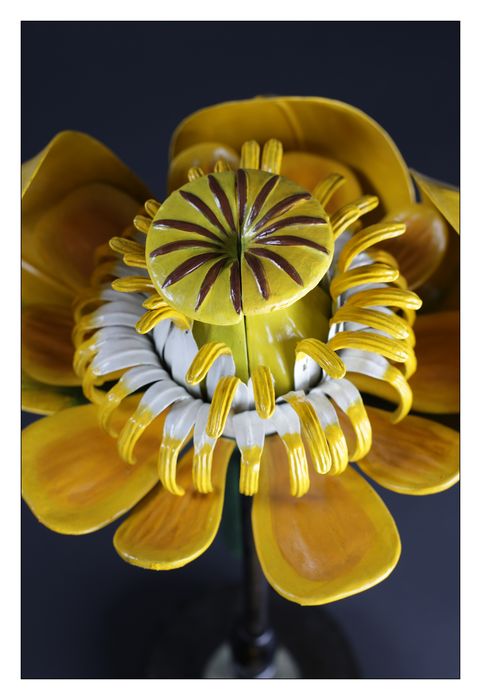 modèle de fleur articulé Brendel : nénuphar jaune