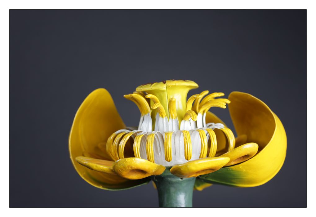 modèle de fleur articulé Brendel : nénuphar jaune