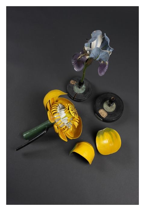 modèle de fleur articulé Brendel : nénuphar jaune
