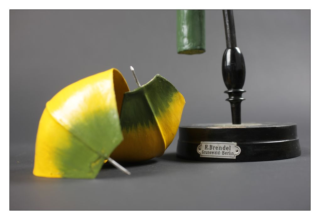 modèle de fleur articulé Brendel : nénuphar jaune