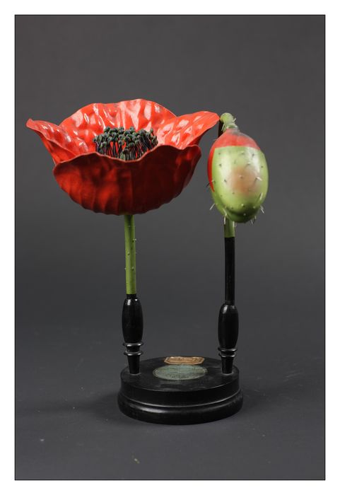 modèle de fleur articulé Brendel : coquelicot