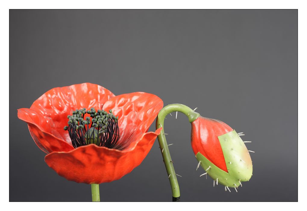 modèle de fleur articulé Brendel : coquelicot