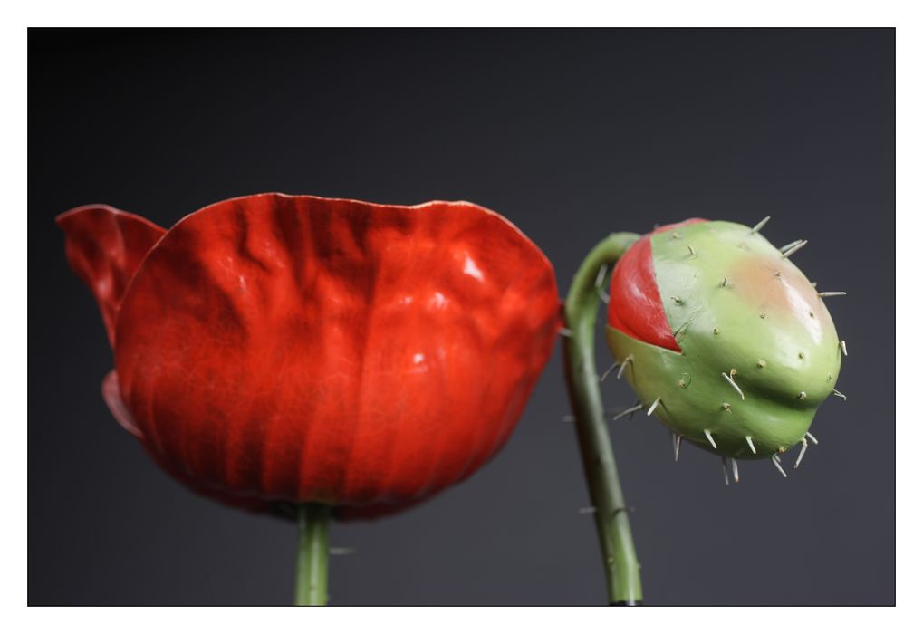 modèle de fleur articulé Brendel : coquelicot