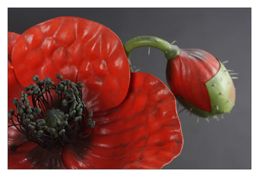 modèle de fleur articulé Brendel : coquelicot