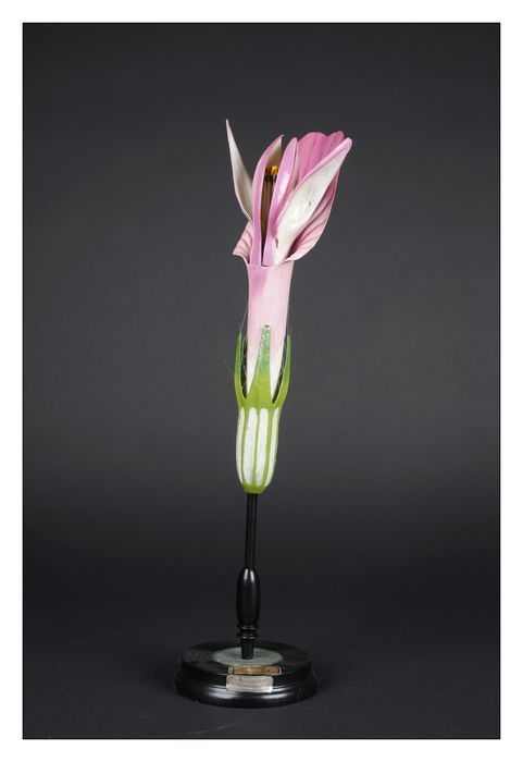 modèle de fleur articulé Brendel : trèfle - © Ministère de la Culture (France), Direction Régionale des Affaires Culturelles de Bourgogne-Franche-Comté – Tous droits réservés 