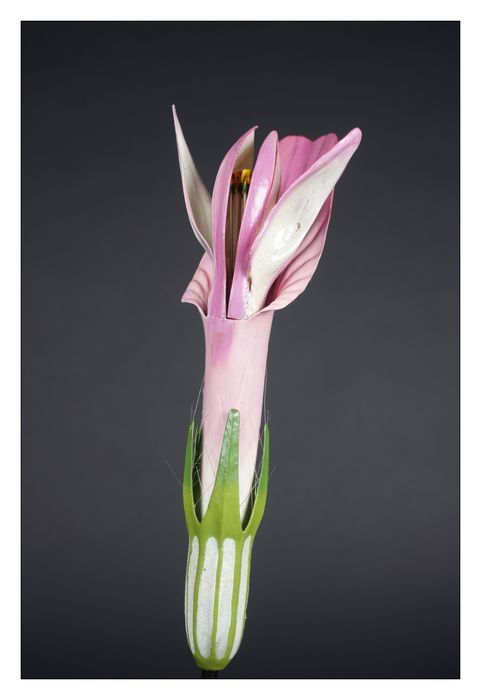 modèle de fleur articulé Brendel : trèfle - © Ministère de la Culture (France), Direction Régionale des Affaires Culturelles de Bourgogne-Franche-Comté – Tous droits réservés