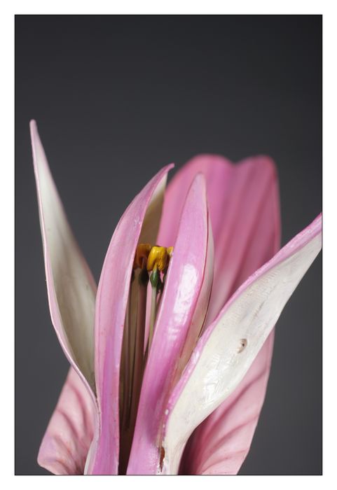 modèle de fleur articulé Brendel : trèfle - © Ministère de la Culture (France), Direction Régionale des Affaires Culturelles de Bourgogne-Franche-Comté – Tous droits réservés 