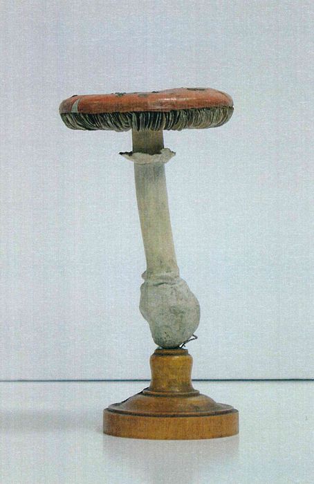 modèle de fleur articulé Brendel : agaric oronge fausse - © Ministère de la Culture (France), Direction Régionale des Affaires Culturelles de Bourgogne-Franche-Comté – Tous droits réservés