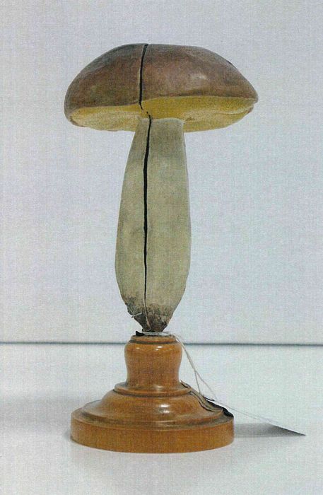 modèle de fleur articulé Brendel : bolet comestible - © Ministère de la Culture (France), Direction Régionale des Affaires Culturelles de Bourgogne-Franche-Comté – Tous droits réservés
