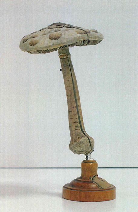 modèle de fleur articulé Brendel : agaric couleuvre - © Ministère de la Culture (France), Direction Régionale des Affaires Culturelles de Bourgogne-Franche-Comté – Tous droits réservés