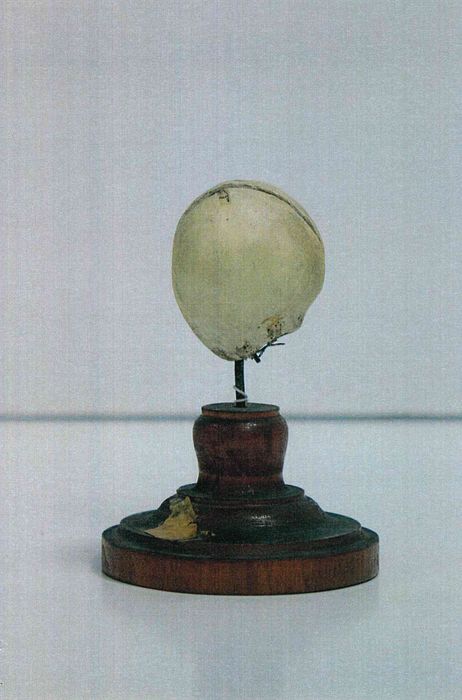 modèle de fleur articulé Brendel : oeuf de morille impudique - © Ministère de la Culture (France), Direction Régionale des Affaires Culturelles de Bourgogne-Franche-Comté – Tous droits réservés