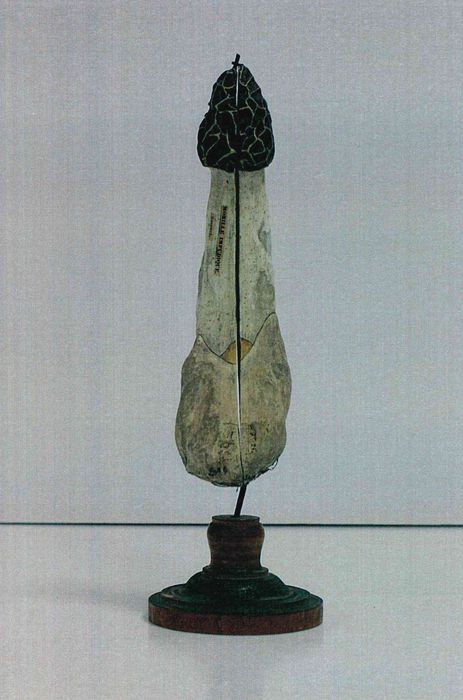modèle de fleur articulé Brendel : morille impudique - © Ministère de la Culture (France), Direction Régionale des Affaires Culturelles de Bourgogne-Franche-Comté – Tous droits réservés