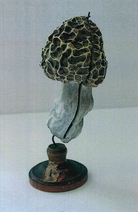 modèle de fleur articulé Brendel : morille - © Ministère de la Culture (France), Direction Régionale des Affaires Culturelles de Bourgogne-Franche-Comté – Tous droits réservés