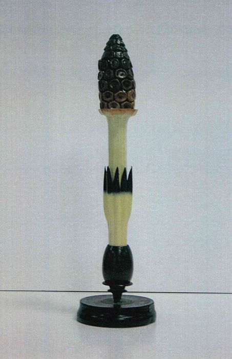 modèle de fleur articulé Brendel : prêle - © Ministère de la Culture (France), Direction Régionale des Affaires Culturelles de Bourgogne-Franche-Comté – Tous droits réservés