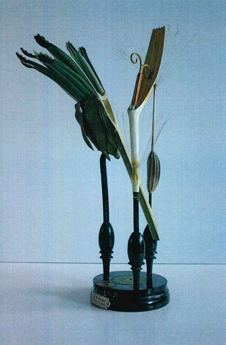 modèle de fleur articulé Brendel : pissenlit - © Ministère de la Culture (France), Direction Régionale des Affaires Culturelles de Bourgogne-Franche-Comté – Tous droits réservés