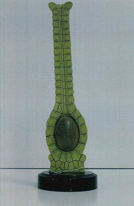 modèle de fleur articulé Brendel : hépatique des fontaines - © Ministère de la Culture (France), Direction Régionale des Affaires Culturelles de Bourgogne-Franche-Comté – Tous droits réservés