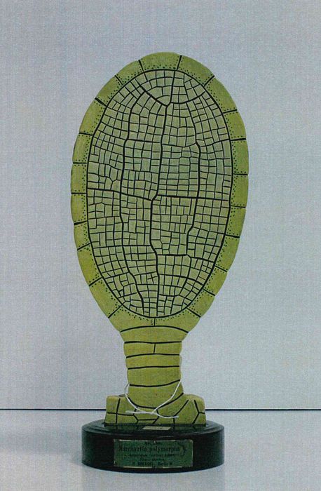 modèle de fleur articulé Brendel : hépatique des fontaines - © Ministère de la Culture (France), Direction Régionale des Affaires Culturelles de Bourgogne-Franche-Comté – Tous droits réservés