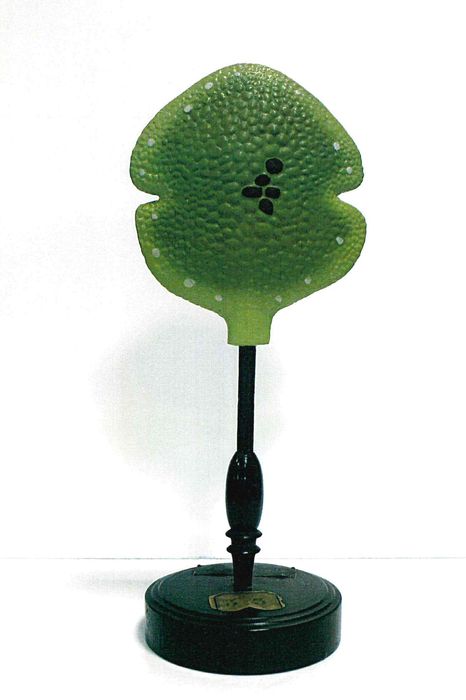 modèle de fleur articulé Brendel : hépatique des fontaines - © Ministère de la Culture (France), Direction Régionale des Affaires Culturelles de Bourgogne-Franche-Comté – Tous droits réservés