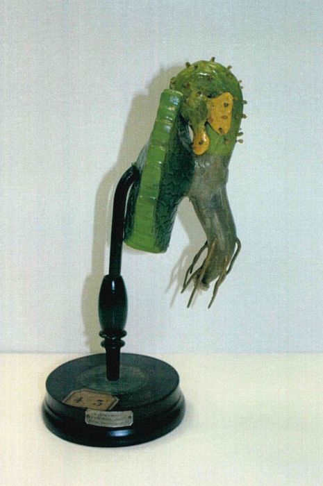 modèle de fleur articulé Brendel : fougère mâle - © Ministère de la Culture (France), Direction Régionale des Affaires Culturelles de Bourgogne-Franche-Comté – Tous droits réservés