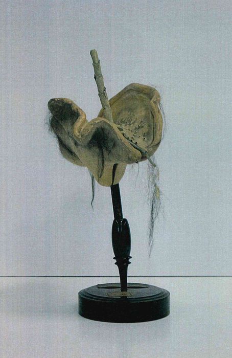 modèle de fleur articulé Brendel : lycopode - © Ministère de la Culture (France), Direction Régionale des Affaires Culturelles de Bourgogne-Franche-Comté – Tous droits réservés
