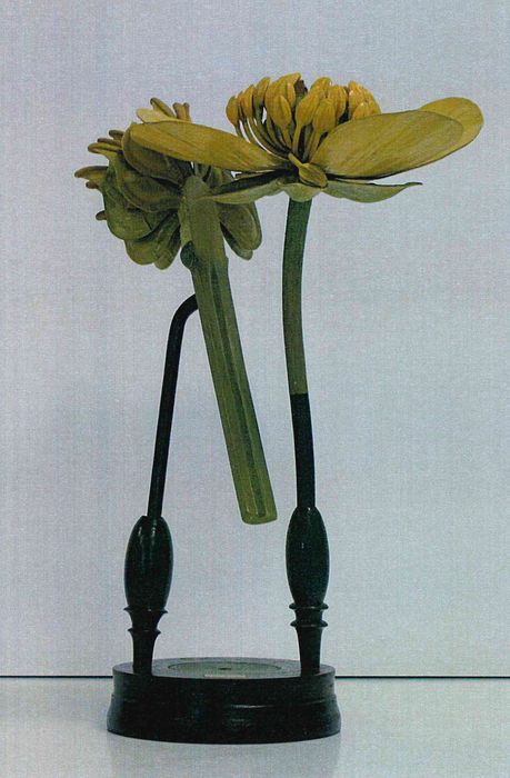 modèle de fleur articulé Brendel : renoncule âcre - © Ministère de la Culture (France), Direction Régionale des Affaires Culturelles de Bourgogne-Franche-Comté – Tous droits réservés
