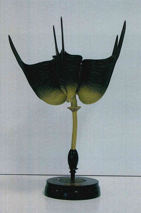 modèle de fleur articulé Brendel : hellébore noir - © Ministère de la Culture (France), Direction Régionale des Affaires Culturelles de Bourgogne-Franche-Comté – Tous droits réservés