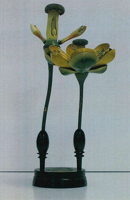 modèle de fleur articulé Brendel : épine-vinette - © Ministère de la Culture (France), Direction Régionale des Affaires Culturelles de Bourgogne-Franche-Comté – Tous droits réservés